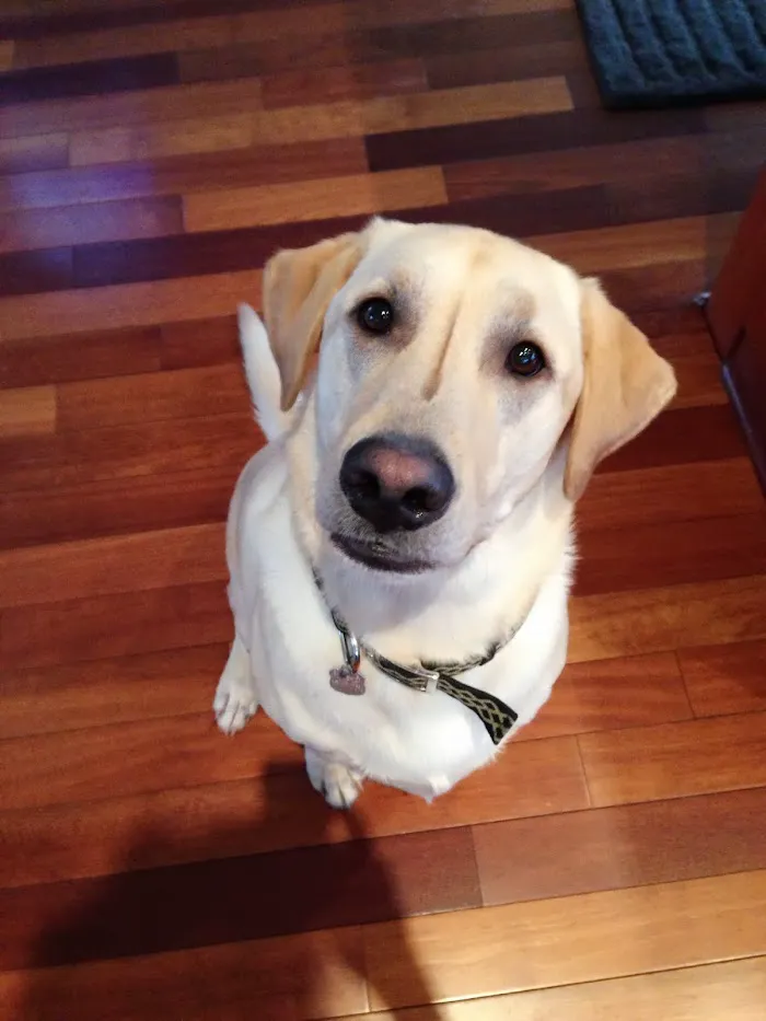 Fetch Specialty & Emergency Veterinary Centers - Bonita Springs, FL 12