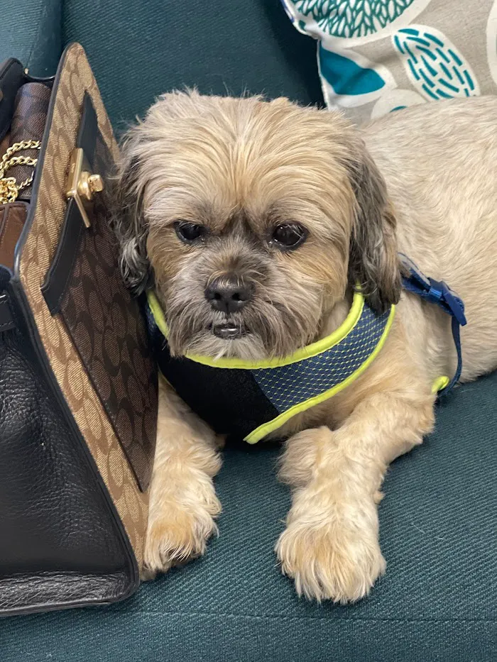 Fetch Specialty & Emergency Veterinary Centers - Bonita Springs, FL 12