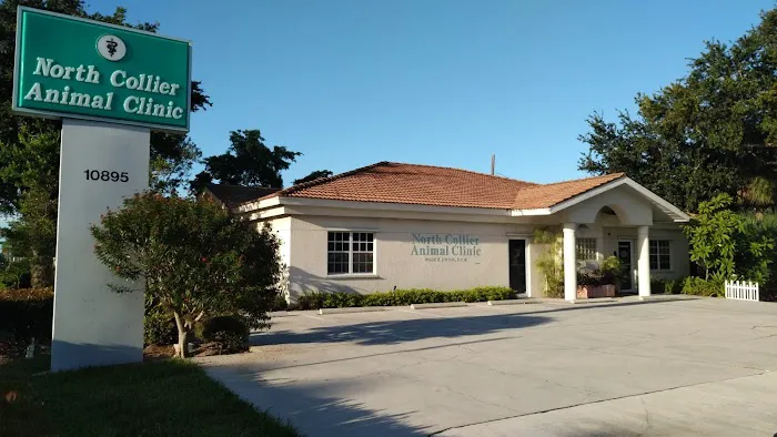 North Collier Animal Clinic 12