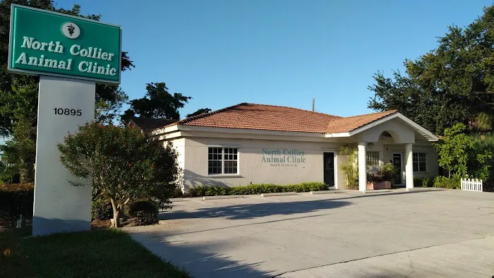 North Collier Animal Clinic 12