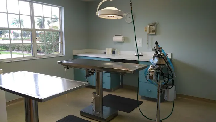 North Collier Animal Clinic 12
