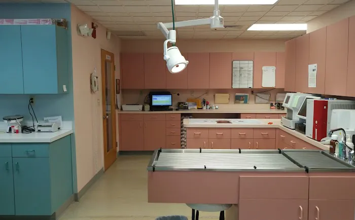 North Collier Animal Clinic 12