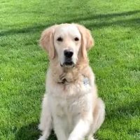 Animal Wellness Center of Bonita ico