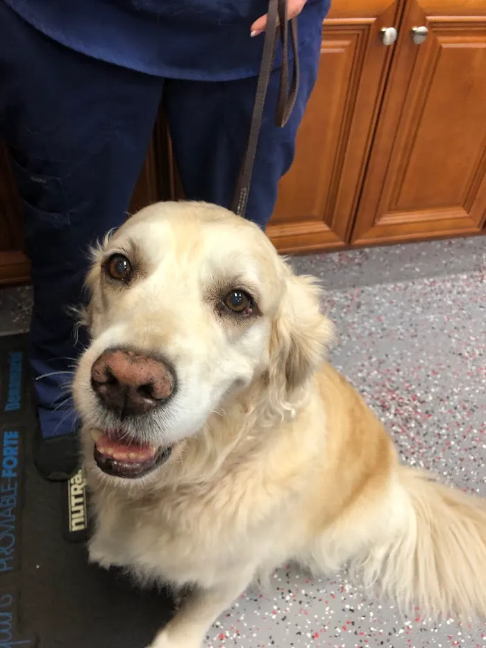 Animal Wellness Center of Bonita 12