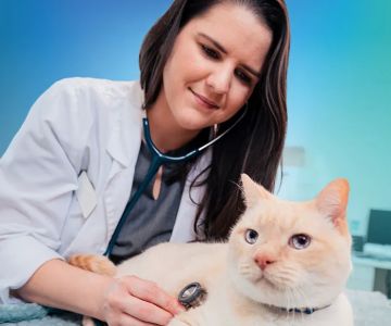 NewDay Veterinary Care