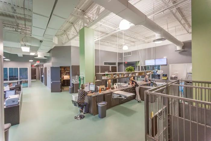 Angel Animal Hospital & Boarding 12