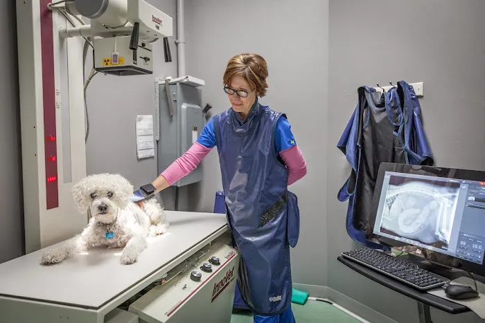 Angel Animal Hospital & Boarding 12