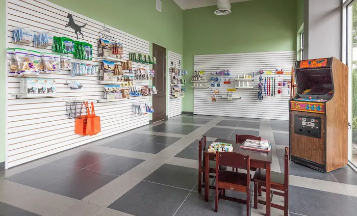 Angel Animal Hospital & Boarding 12