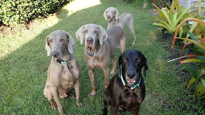 Newport Animal Hospital 12