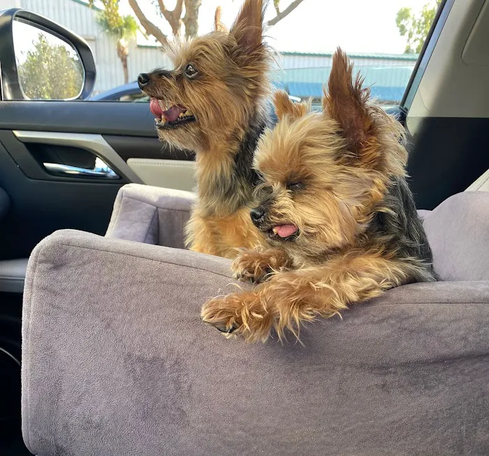 White Sands Animal Clinic 12