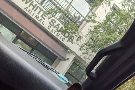 White Sands Animal Clinic