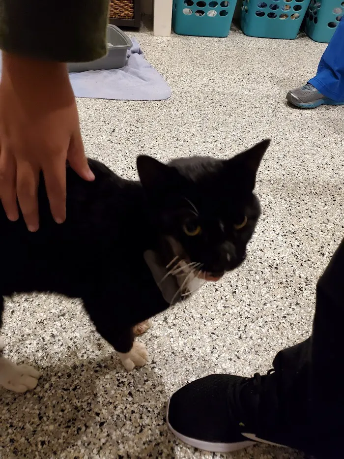 White Sands Animal Clinic 12
