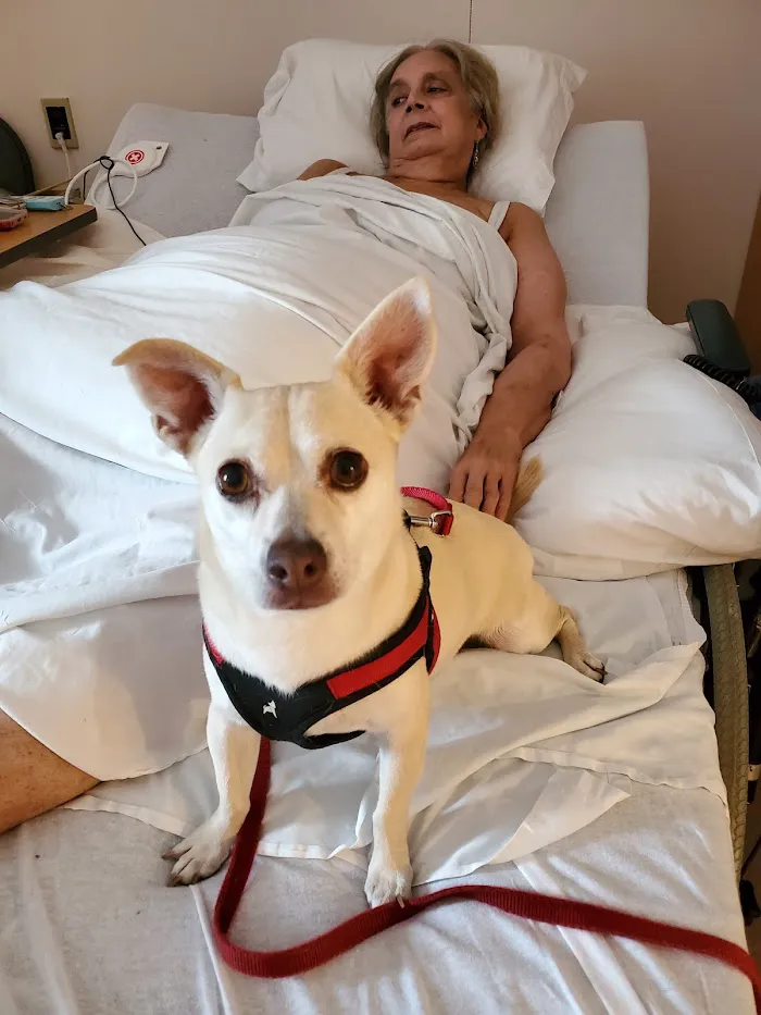 Southwest Florida Veterinary Specialists 9