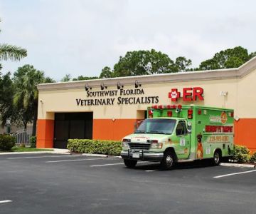 Southwest Florida Veterinary Specialists