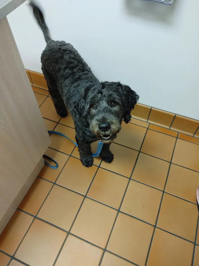 Federal Animal Hospital 12
