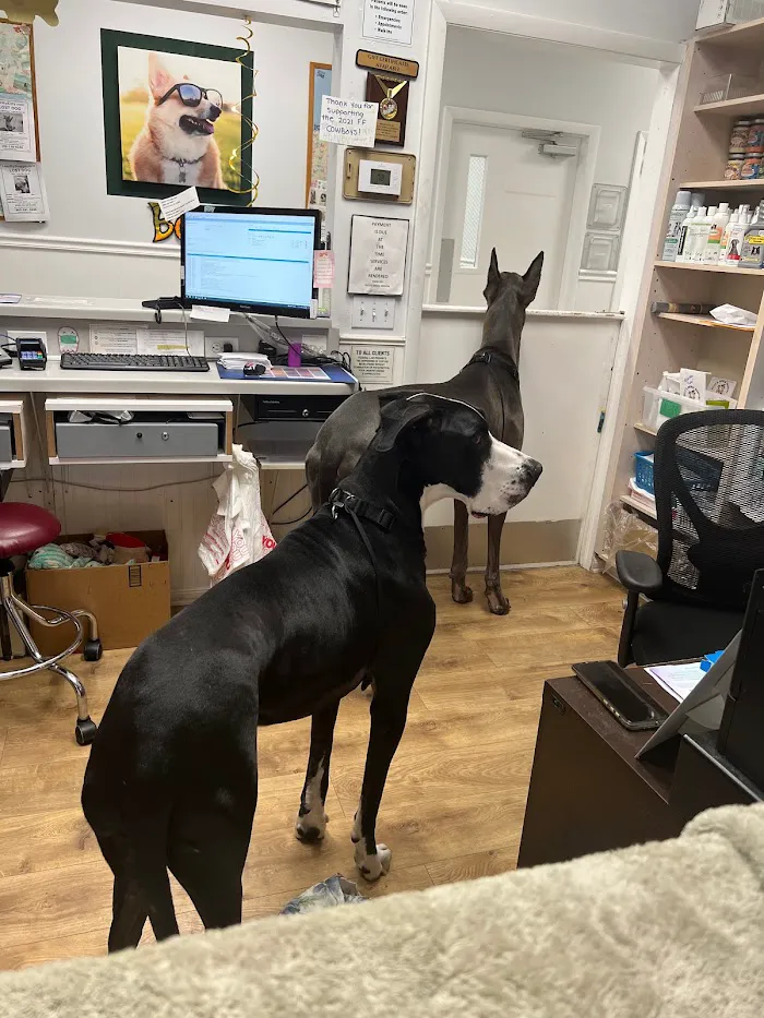 Kelly's Animal Hospital 12