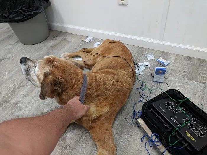 Kelly's Animal Hospital 12