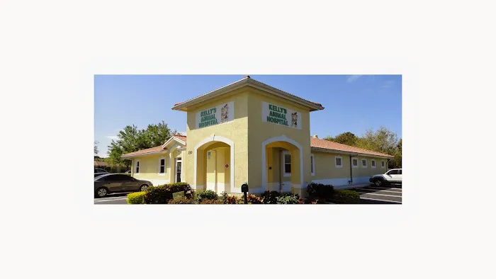Kelly's Animal Hospital 12