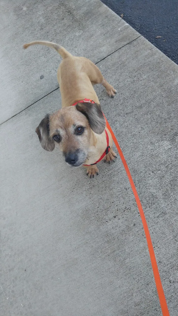 Kelly's Animal Hospital 12
