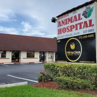 Sandpiper Animal Hospital ico