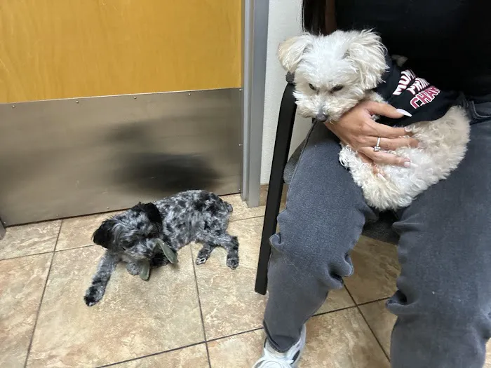 Sandpiper Animal Hospital 12
