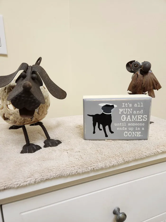 Animal Eye Specialty Clinic - Stuart 12