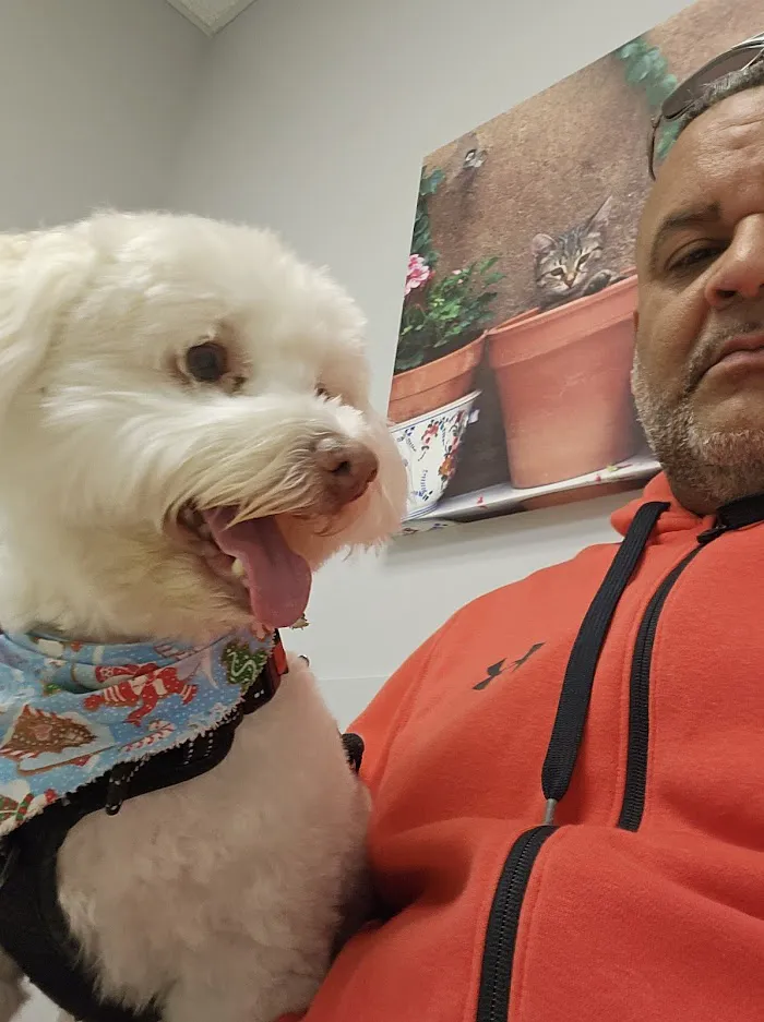 Prima Vista Animal Hospital 12