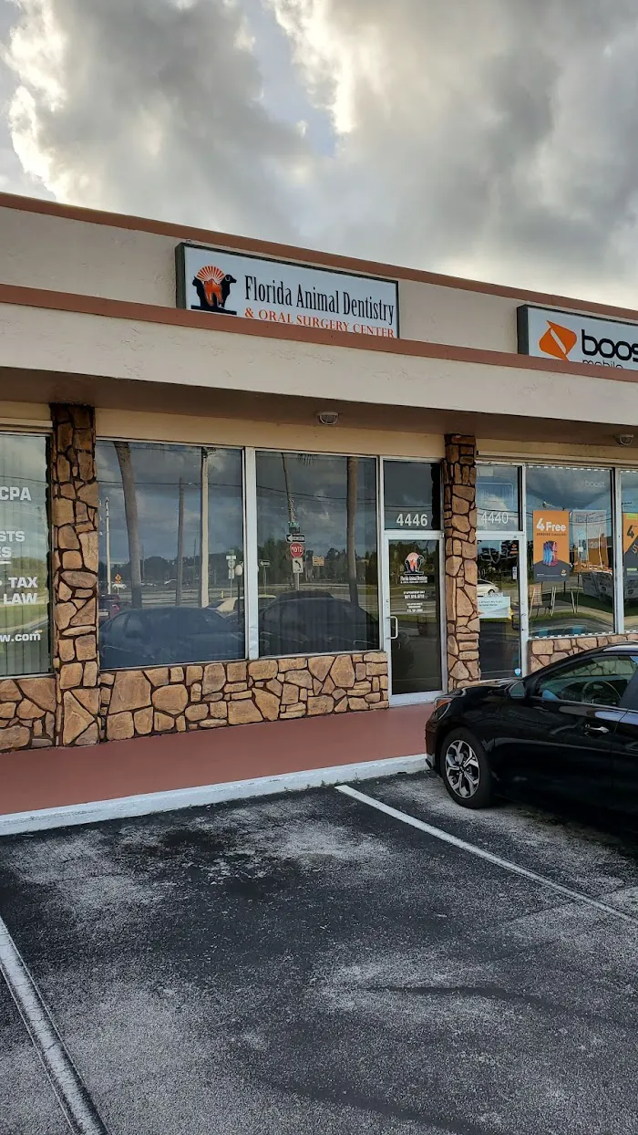 Florida Animal Dentistry 12