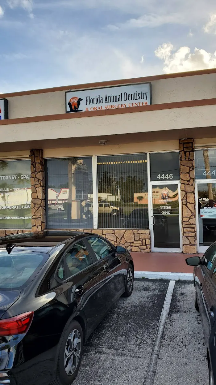 Florida Animal Dentistry 12