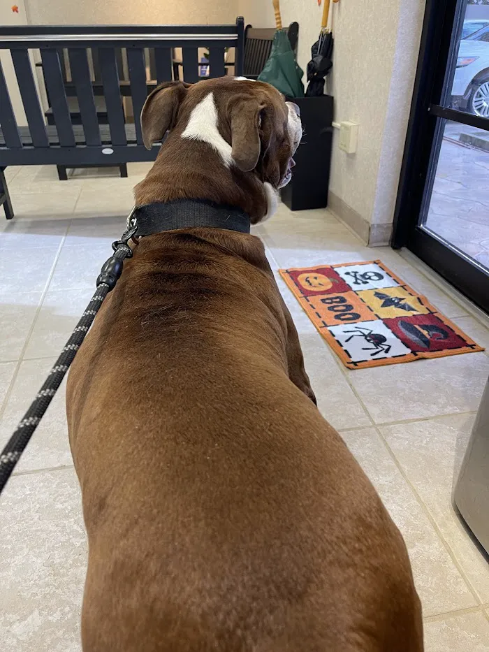 Kindness Animal Hospital 12