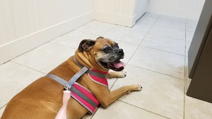 Kindness Animal Hospital 12