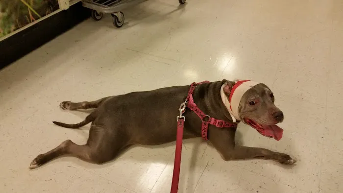 Banfield Pet Hospital 12
