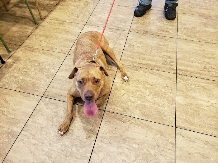 Morningside Animal Hospital 12