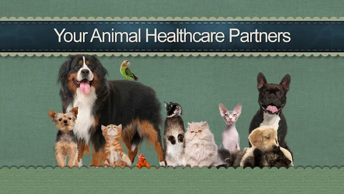 Morningside Animal Hospital 12