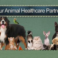 Morningside Animal Hospital ico