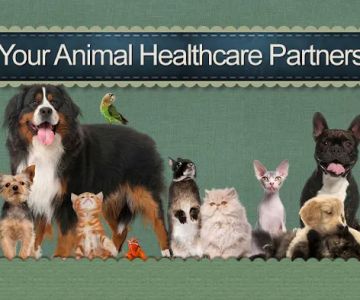 Morningside Animal Hospital