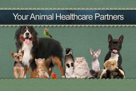 Morningside Animal Hospital