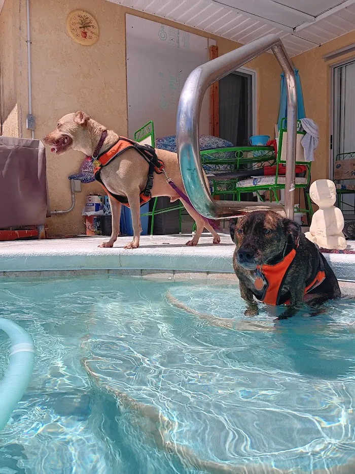 Atlantic Animal Clinic 12