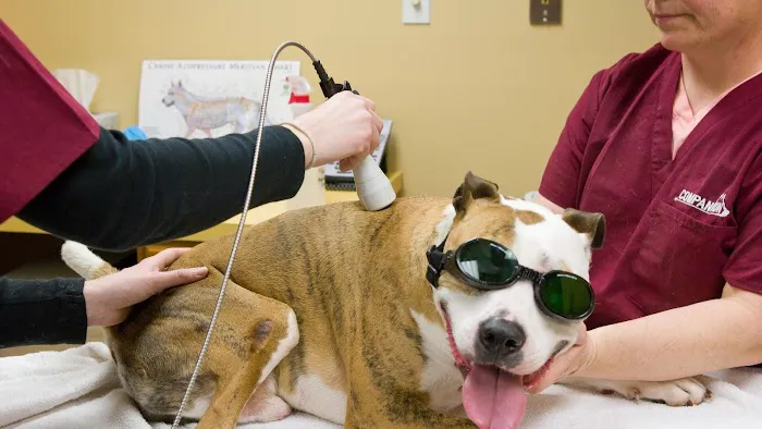 Savanna Animal Hospital, Inc. 12