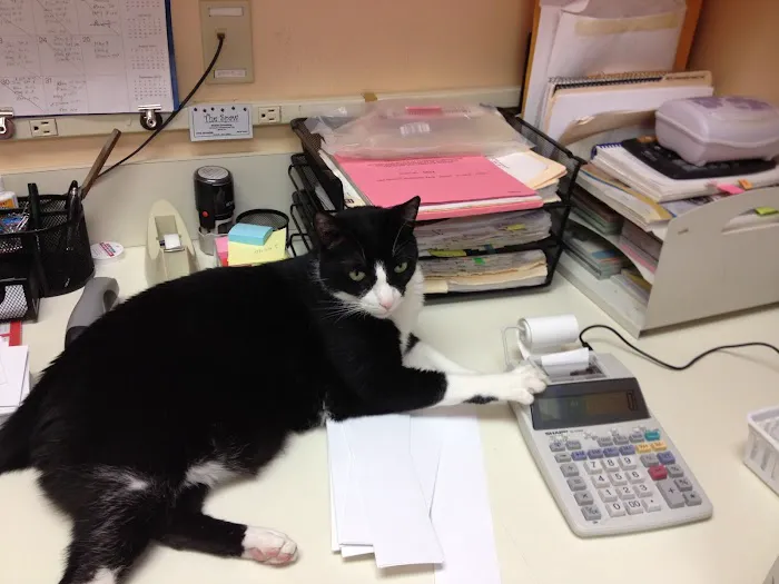 Savanna Animal Hospital, Inc. 12