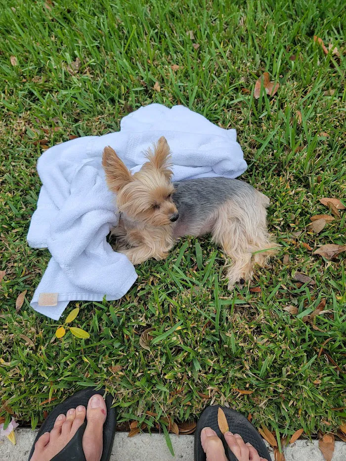 Savanna Animal Hospital, Inc. 12