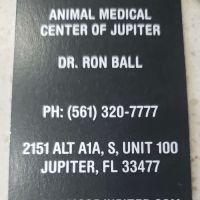 Ronald Ball ico