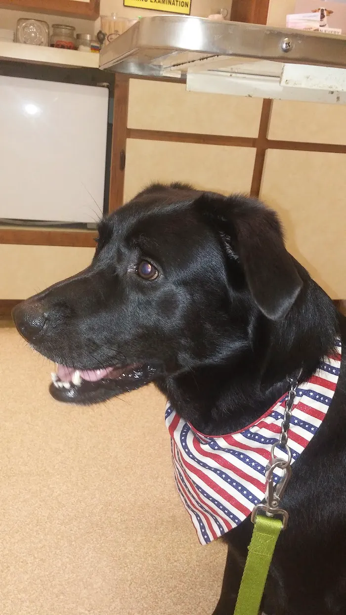 Stuart Animal Hospital 12
