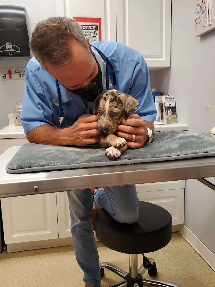 Stuart Animal Hospital 12