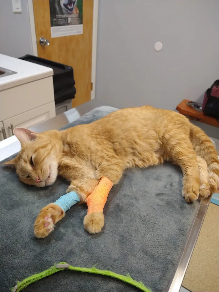 Stuart Animal Hospital 12