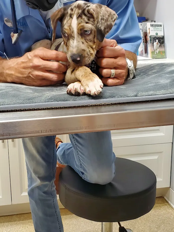 Stuart Animal Hospital 12