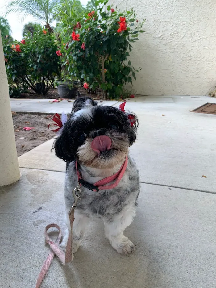 Jensen Beach Animal Hospital 12