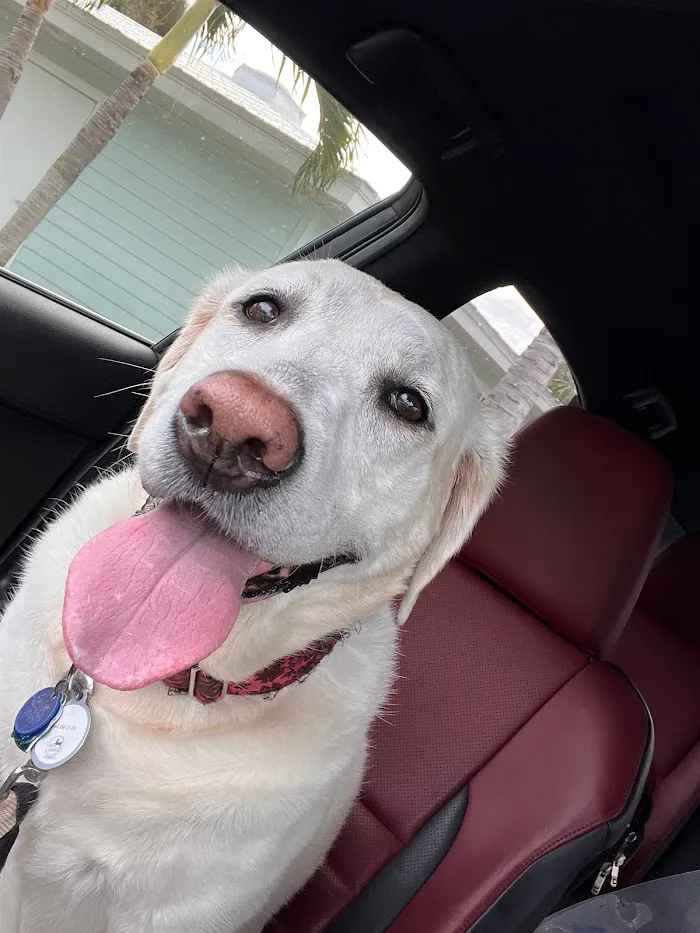 Jensen Beach Animal Hospital 12