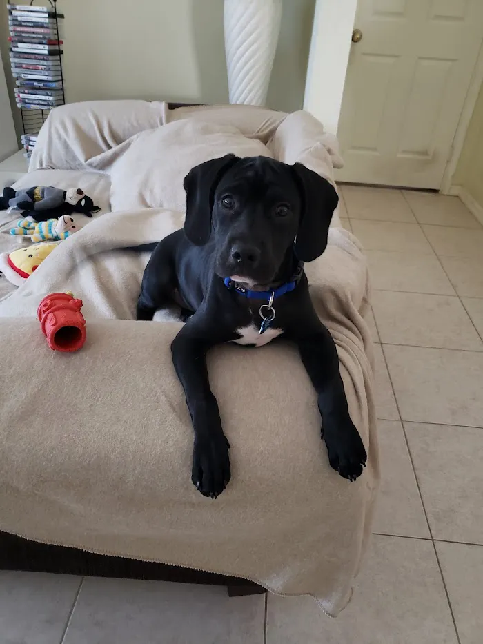Jensen Beach Animal Hospital 12
