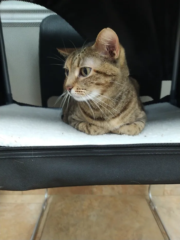 Jensen Beach Animal Hospital 12